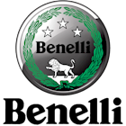 Benelli 491 sport