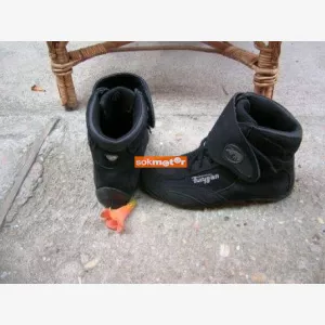 Bering L
