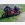 Derbi GPR (2001)