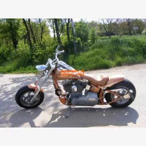 Harley-Davidson softtail standard Twicam