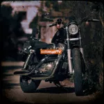 Harley-Davidson Sportster (2002/8)