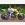 HONDA CB1000R (2008)