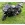 HONDA CBR 1000 RR (2007)