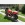 Honda CBR 600F (2000)