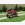 Honda CBR600 F4 (2000)