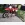 HONDA CR 80 (1994)