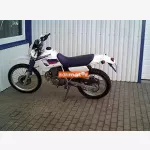 Honda Degree