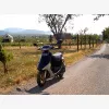 3. kp: Honda-Dio