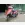 Honda Dio ZX (2000)