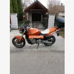 Honda Hornet