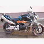 Honda Hornet