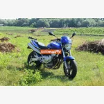 Honda Hornet (CB) 600