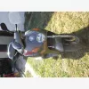 3. kp: Honda-Kukac