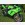 KAWASAKI ZX-6R (2005)