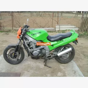 Kawasaki ZZR-500