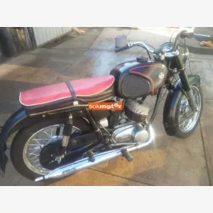 Pannonia P20