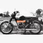 Pannonia P20
