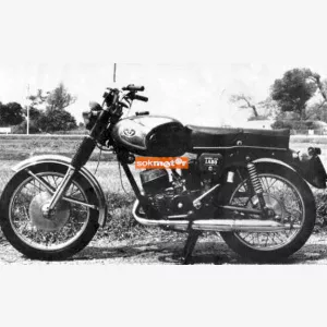 Pannonia P20