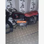 PANNONIA T1