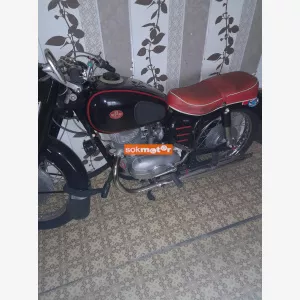 PANNONIA T1