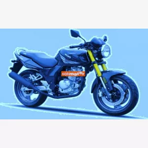 1. kp: QINGQI-Yuki 125 RS Qingqi QM125D