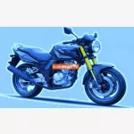 QINGQI Yuki 125 RS Qingqi QM125D