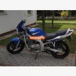 Suzuki GS 500 E
