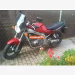 Suzuki GS500E