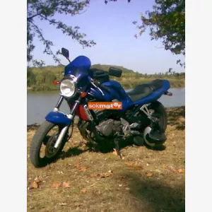 SUZUKI GSF bandit 250