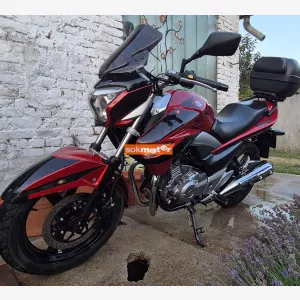 SUZUKI Inazuma