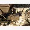 4. kp: Suzuki-K50 Colleda