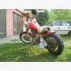 3. kp: Suzuki-Ls 650 Savage