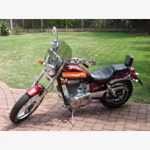 Suzuki LS650
