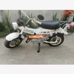 Suzuki roller