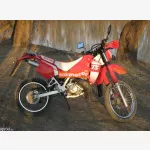 Suzuki  Ts125r