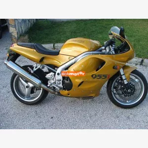 1. kp: Triumph-Daytona 955i