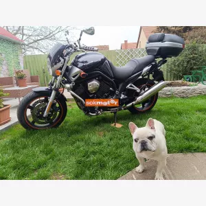 YAMAHA BT110
