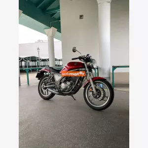 YAMAHA SRX600