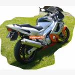 Yamaha YZF-600 Thundercat